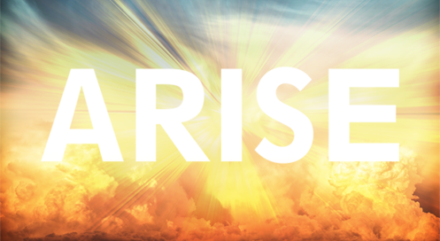 ARISE-2015-497x272