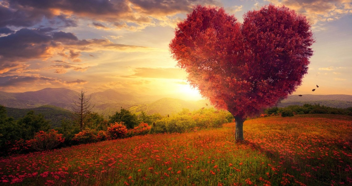 CBB367CD-F32E-4C1D-97D9-F8177C6D390B