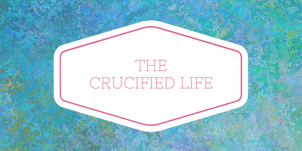 8C097EE1-860F-438D-AA53-2EBA5BCF23DF