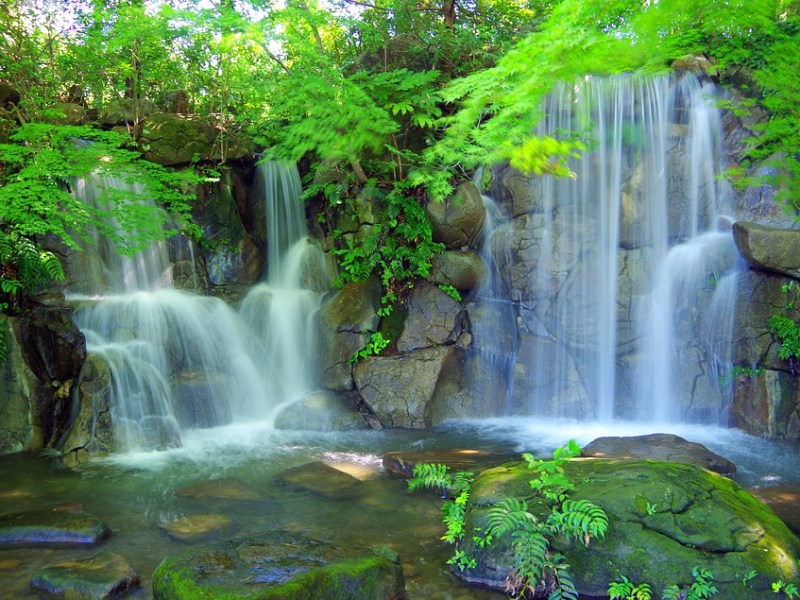 True Worship: What Are Some Modern Day Idols People&nbsp;Worship?