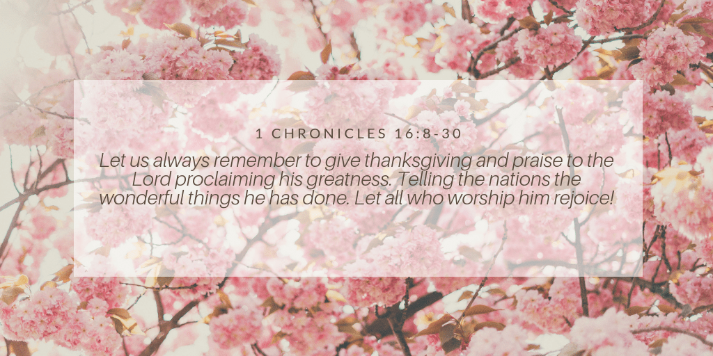 Spring has sprung! Time to pick flowers at