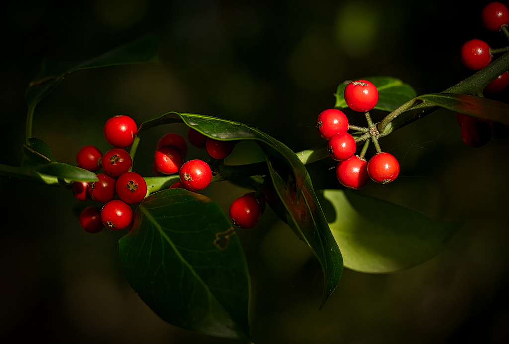 981757C4-E8F4-4C2C-B474-CB515178FD38