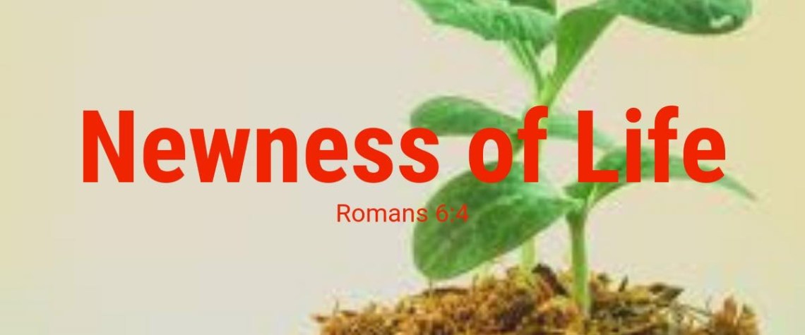 D5AE03DE-293C-4F17-A5F6-A94F30F9BDAD