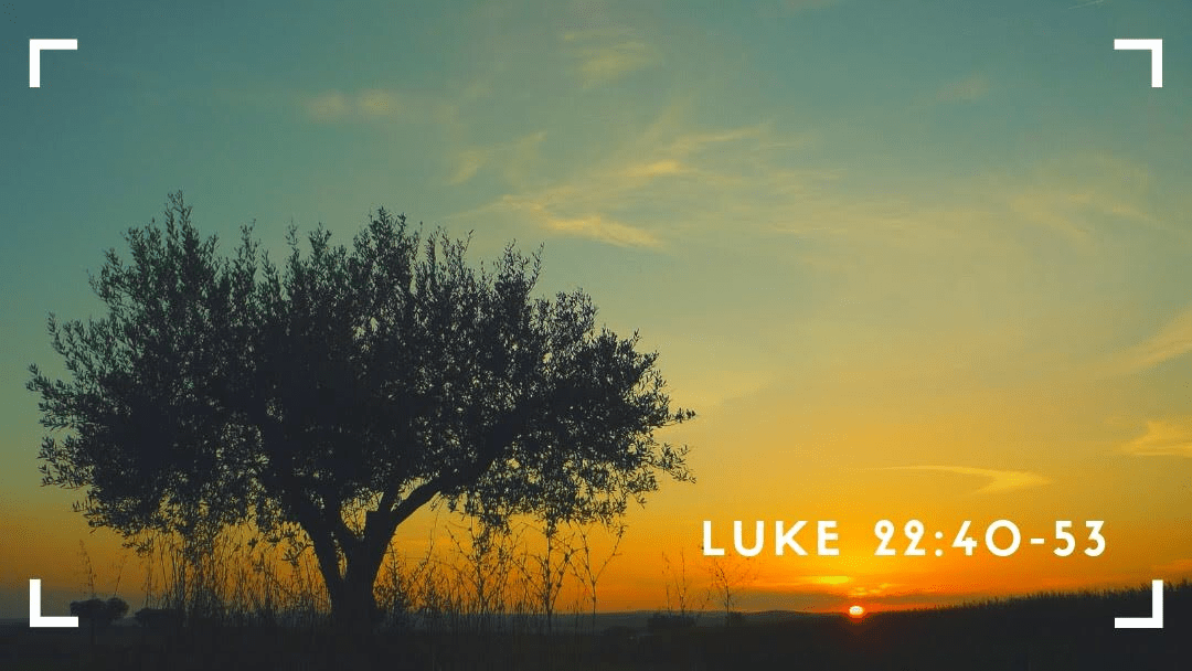 3B3A4065-7B13-4713-AED1-B29FC09840B5