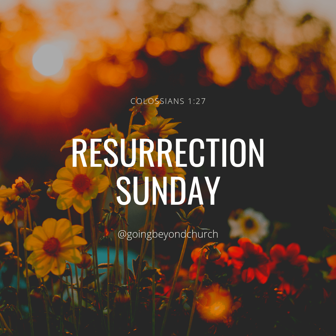 48C32C07-3FF5-4E90-8434-339DAD727180