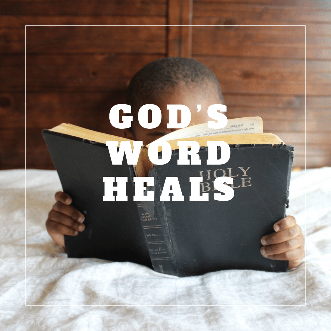 C24FF46F-A181-477C-8C67-7370261545C3