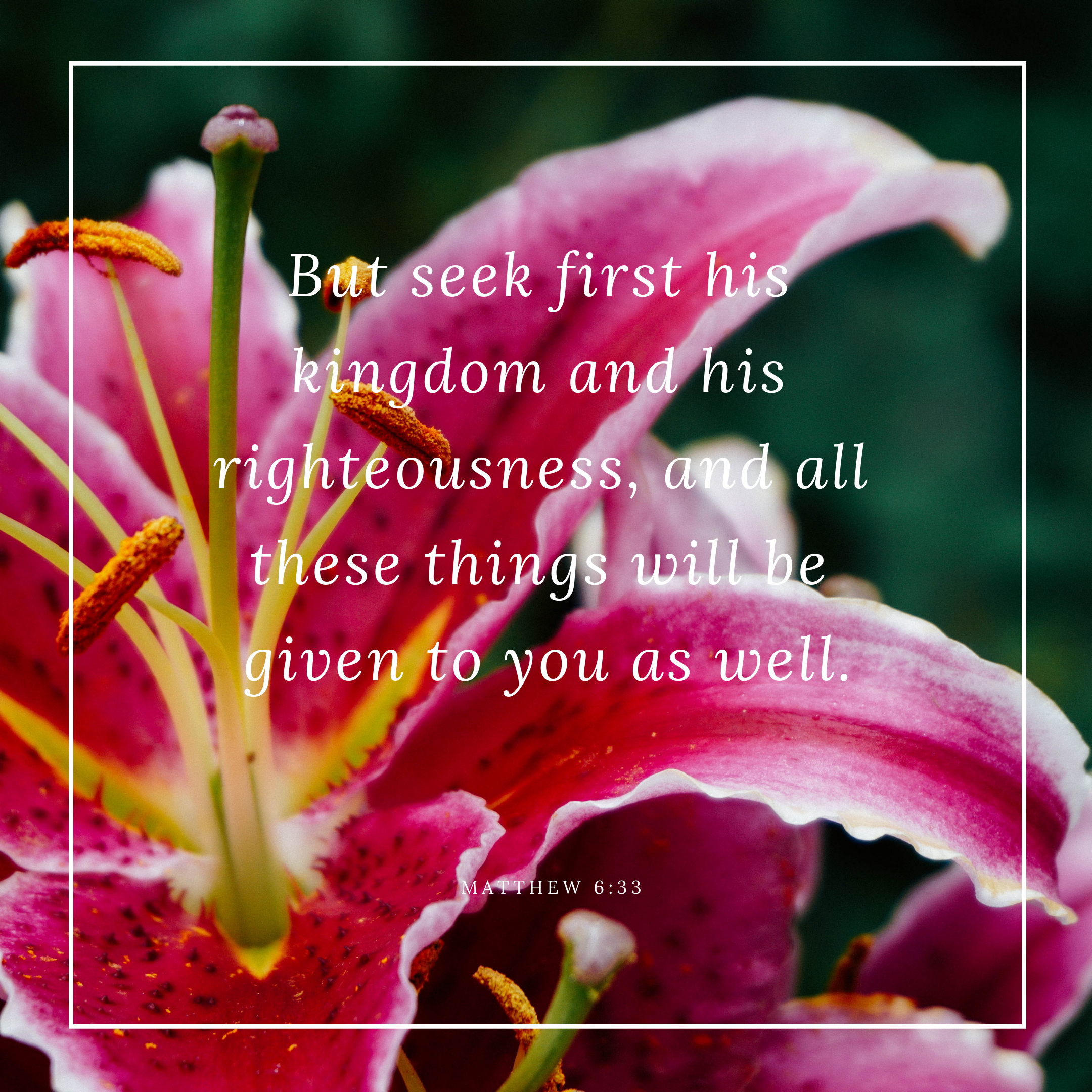 1A60593C-35B7-4885-9493-B5DAC200C98E