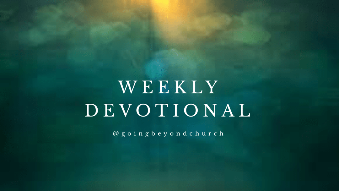 7E1F6C89-6448-4912-BD63-CD14263A1DAF