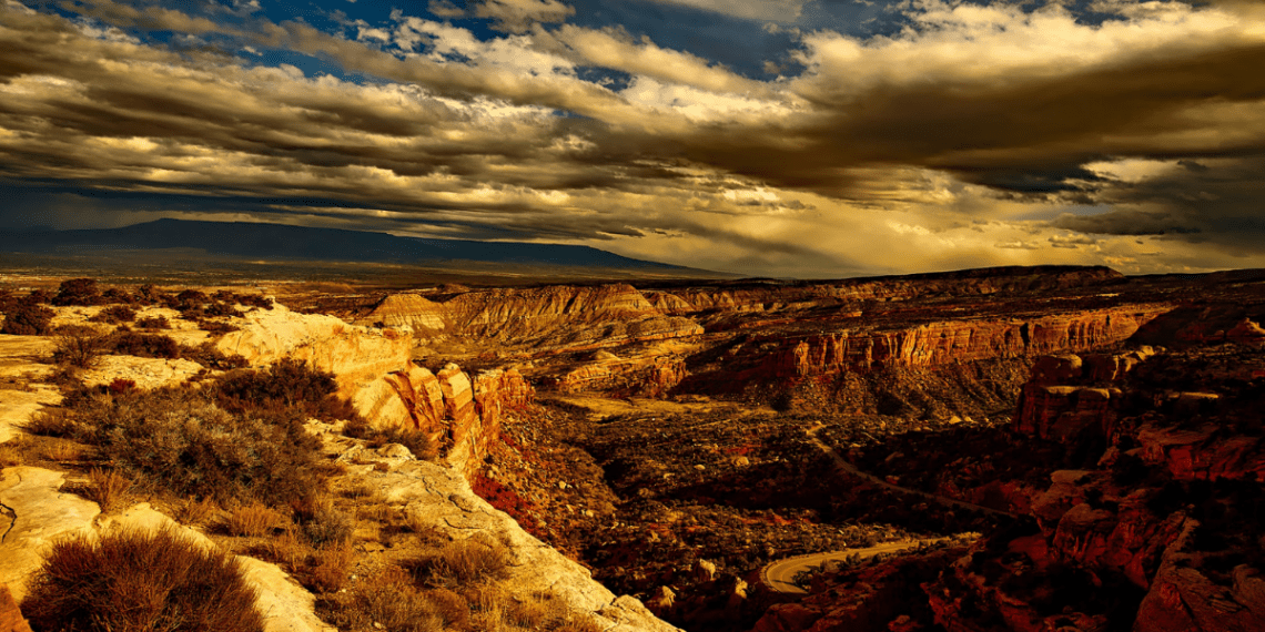 C4545395-6A58-4D9F-8E4A-78F692FDDB83