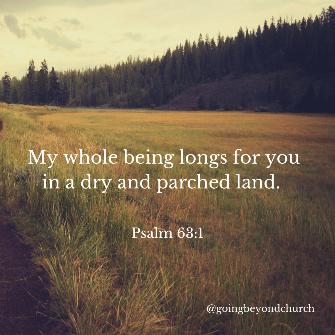 CD7A2E93-6760-4D1E-8ABF-7C105DB115D4