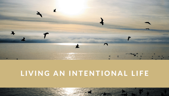 29CE9027-EC6F-4DBF-97F7-BE37618D019F