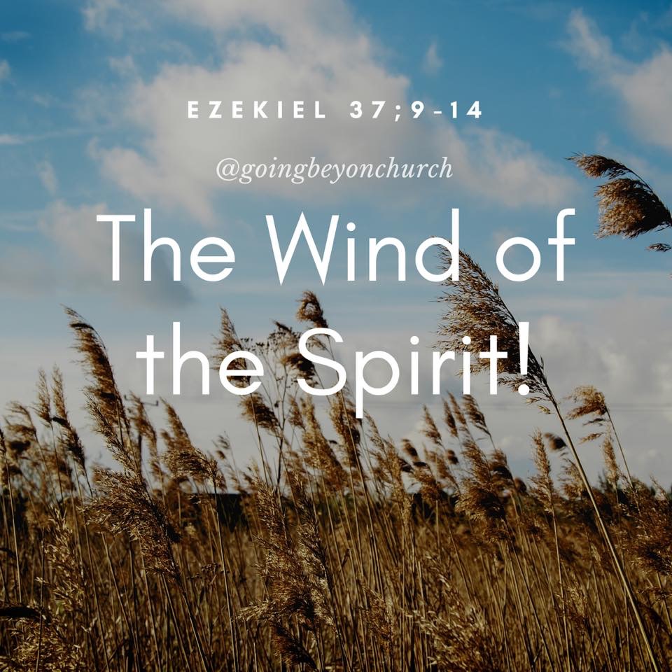 D70878C5-1833-4449-AB4E-BF9EC790550B