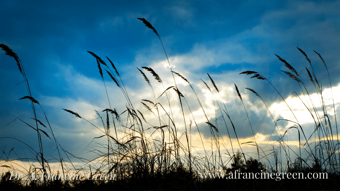 DCCEC7FC-EF1E-4E7A-BF42-A0976DCAAE84