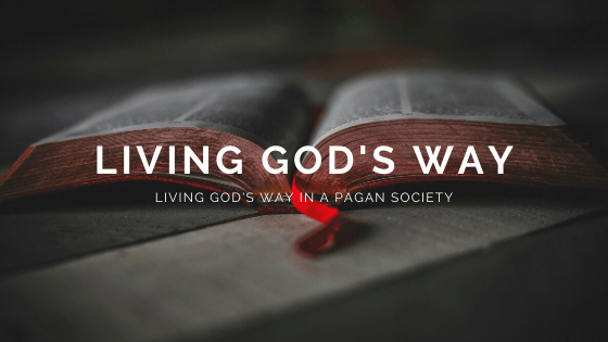 A9774A01-4D75-409F-BECA-66E6BCC5E13C