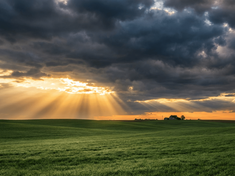 How to Combat Indifference and Foster&nbsp;Compassion