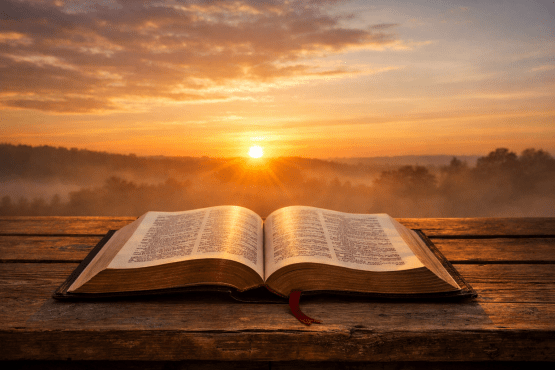 Open Bible on wooden table with sunrise and foggy trees in the distance