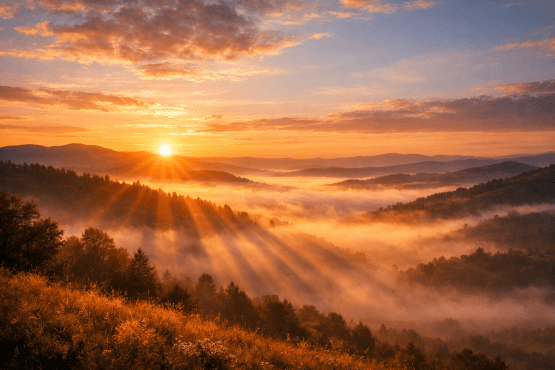 Sunrise with sun rays shining over misty forested mountain landscape