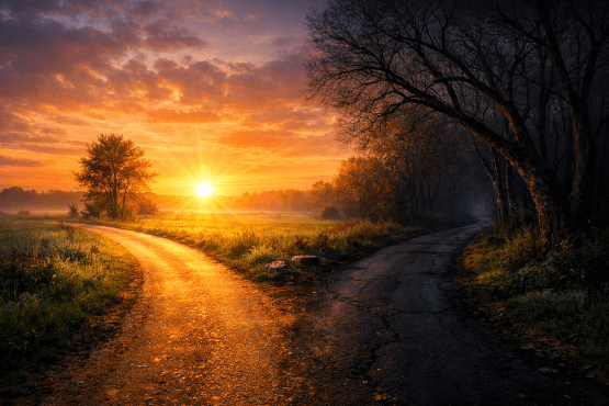 Fork in rural road with sunset on one side and shaded trees on the other