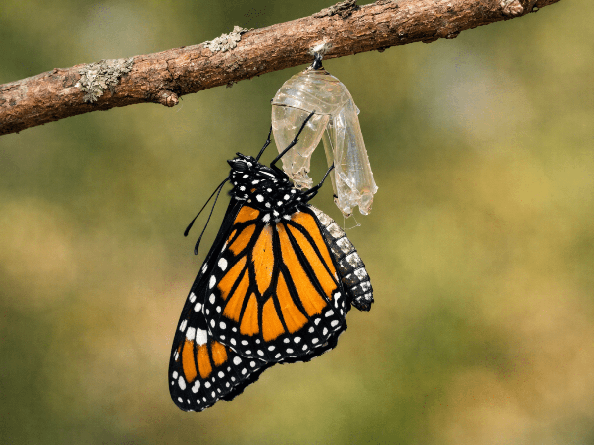 Embracing the Journey to Spiritual Fulfillment and Inner Peace 