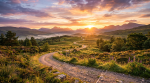 Dirt path winding through green hills with trees and wildflowers at sunrise