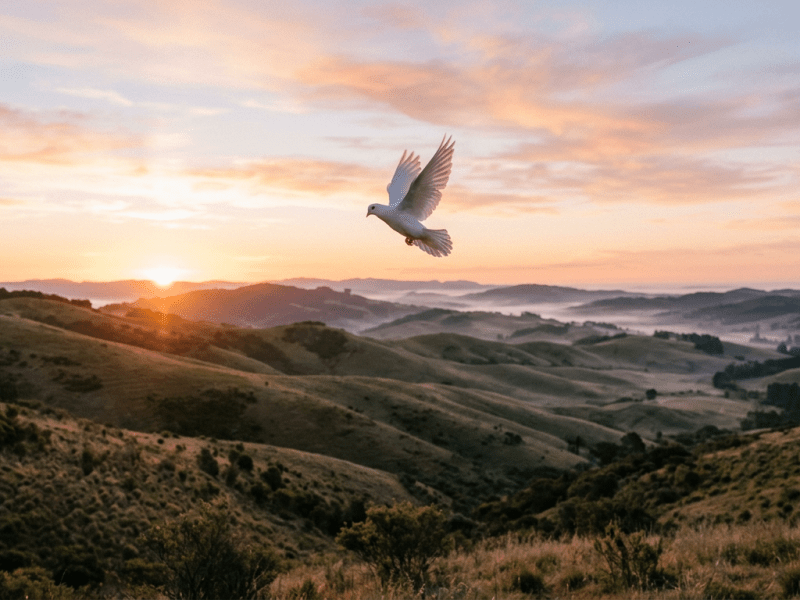 The Names of the Holy Spirit (Part 1) 