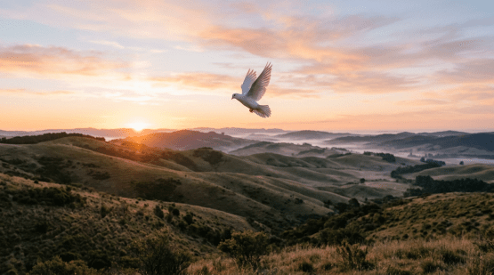 White dove flying over green hills with sunrise in the background