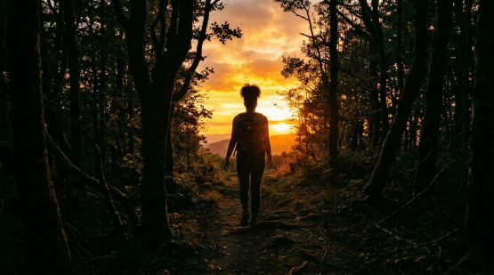 Silhouette of a person walking on a forest trail at sunset with orange sky